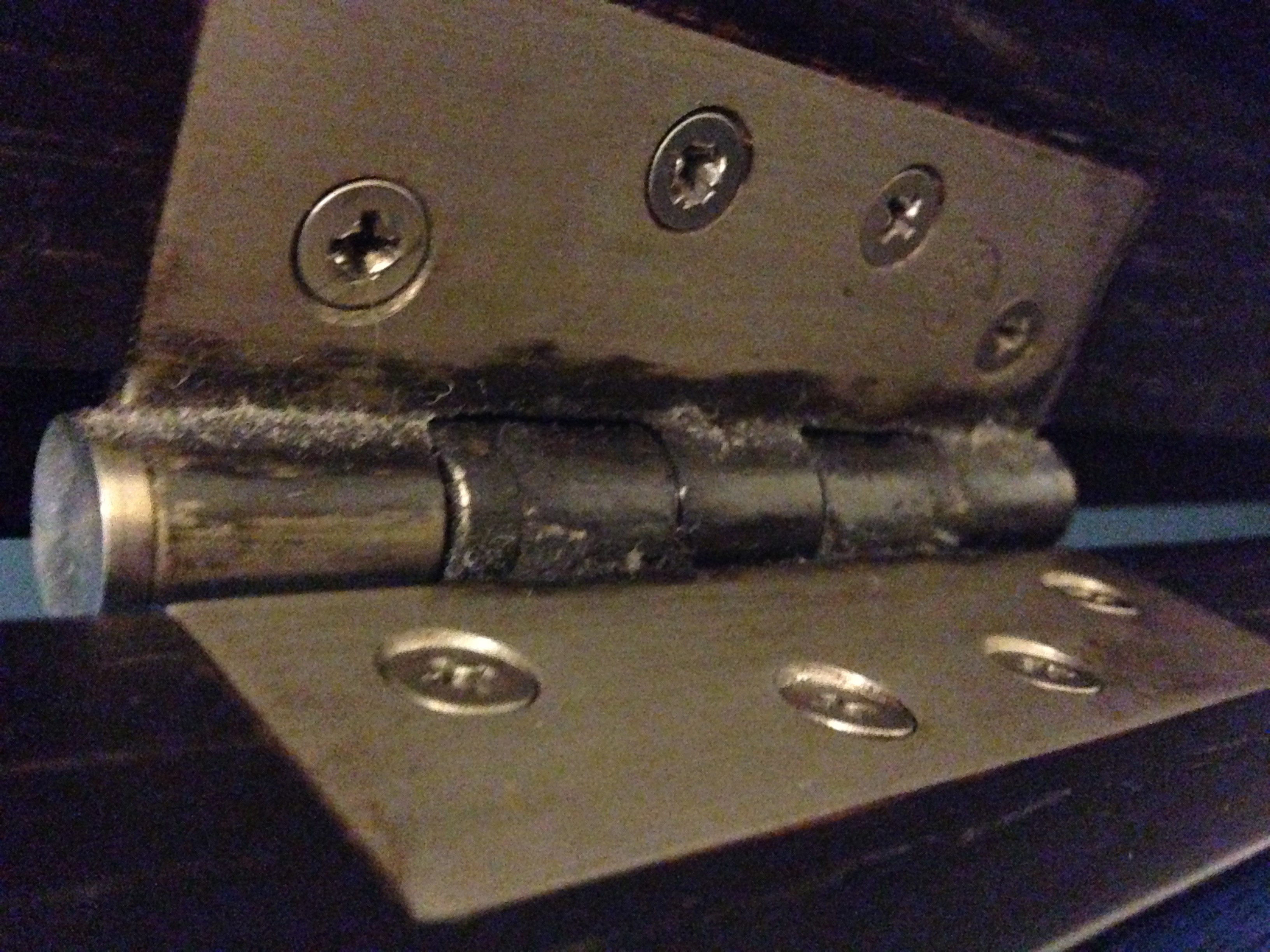 Stainless steel hinge rusting