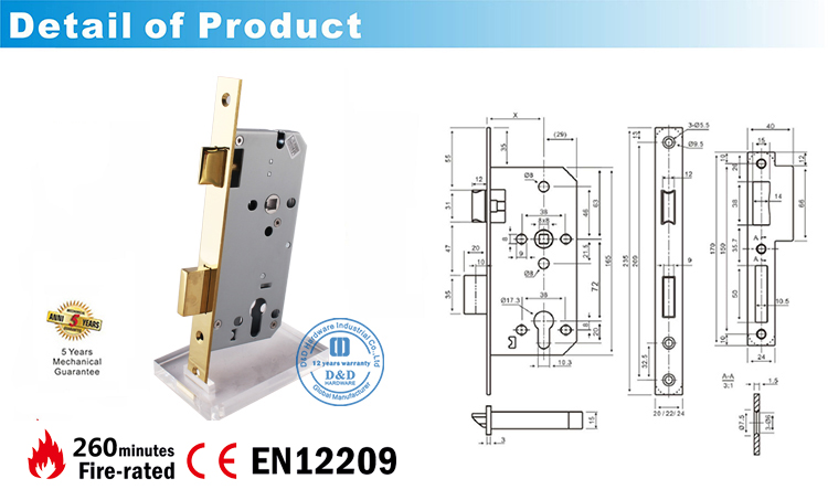 Polished Brass-CE Mortise Door Lock DDML009-D&D Hardware