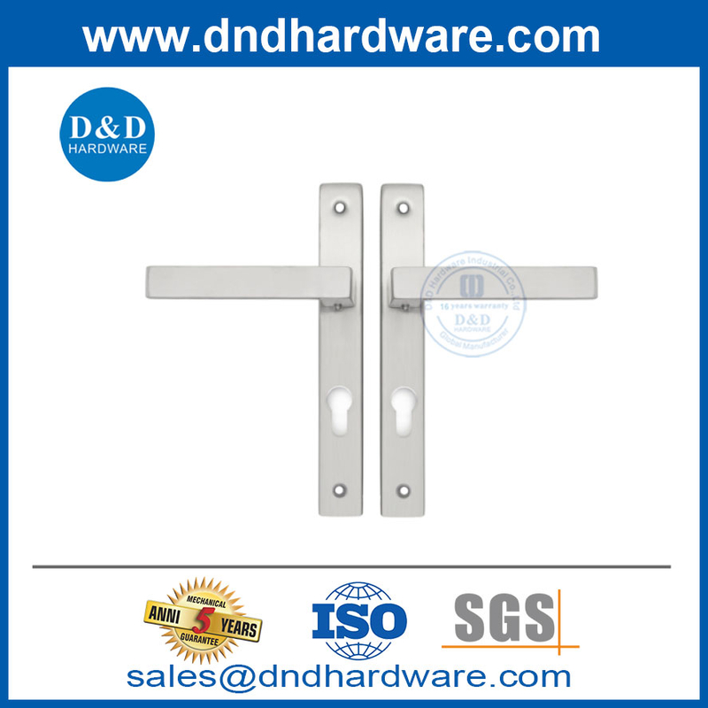 Stainless Steel Narrow Frame Narrow-Stile Backplate Door Lever Handle with Plate-DDNP002