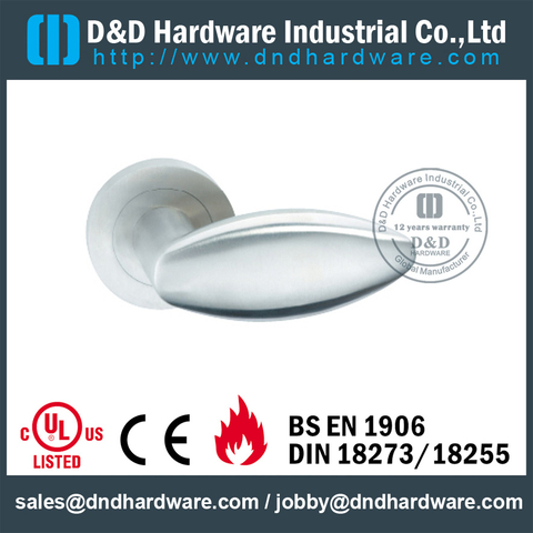 Stainless steel 316 fancy decorative solid handle for Home Door- DDSH059