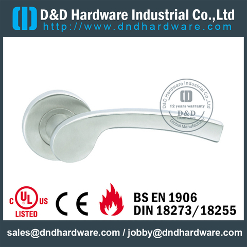 Stainless Steel Cast Solid Lever Handle on Rose for Office Doors-DDSH074