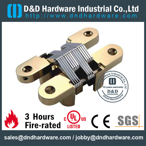Zinc Alloy Concealed Hinge for Wooden Door-ZA-CC06-19x95mm