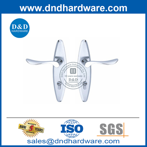 Stainless Steel Metal Door Solid Casting Backplate Door Handle-DDLP002
