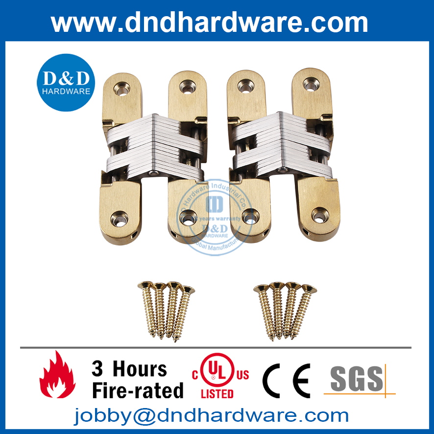 Zinc Alloy Polished Brass Stain Concealed Hinge for Heavy Door-DDCH007