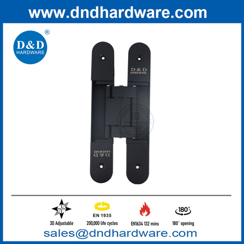 Black Door hinge