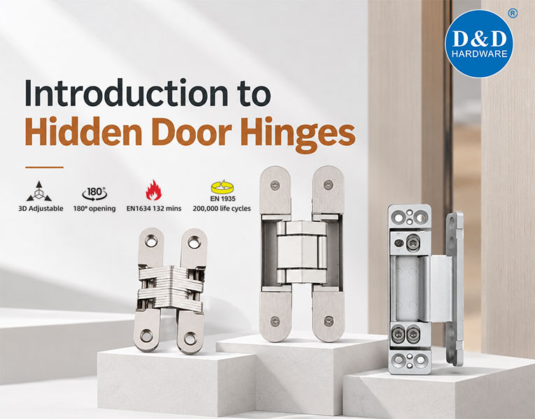 Introduction to Hidden Door Hinges