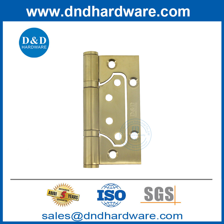 Satin Brass Door Hinge