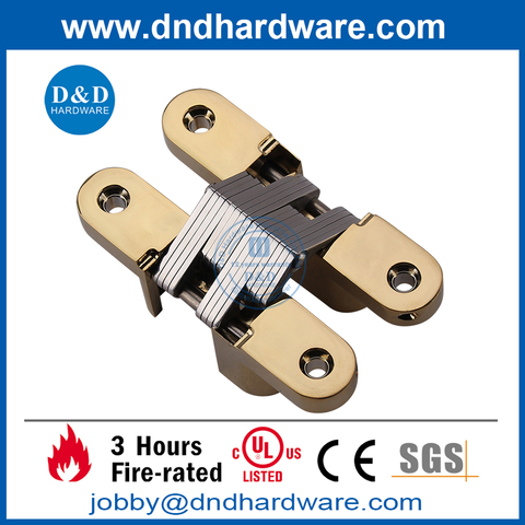 Zinc Alloy Polished Brass Polished finish concealed hinge for Door-DDCH007