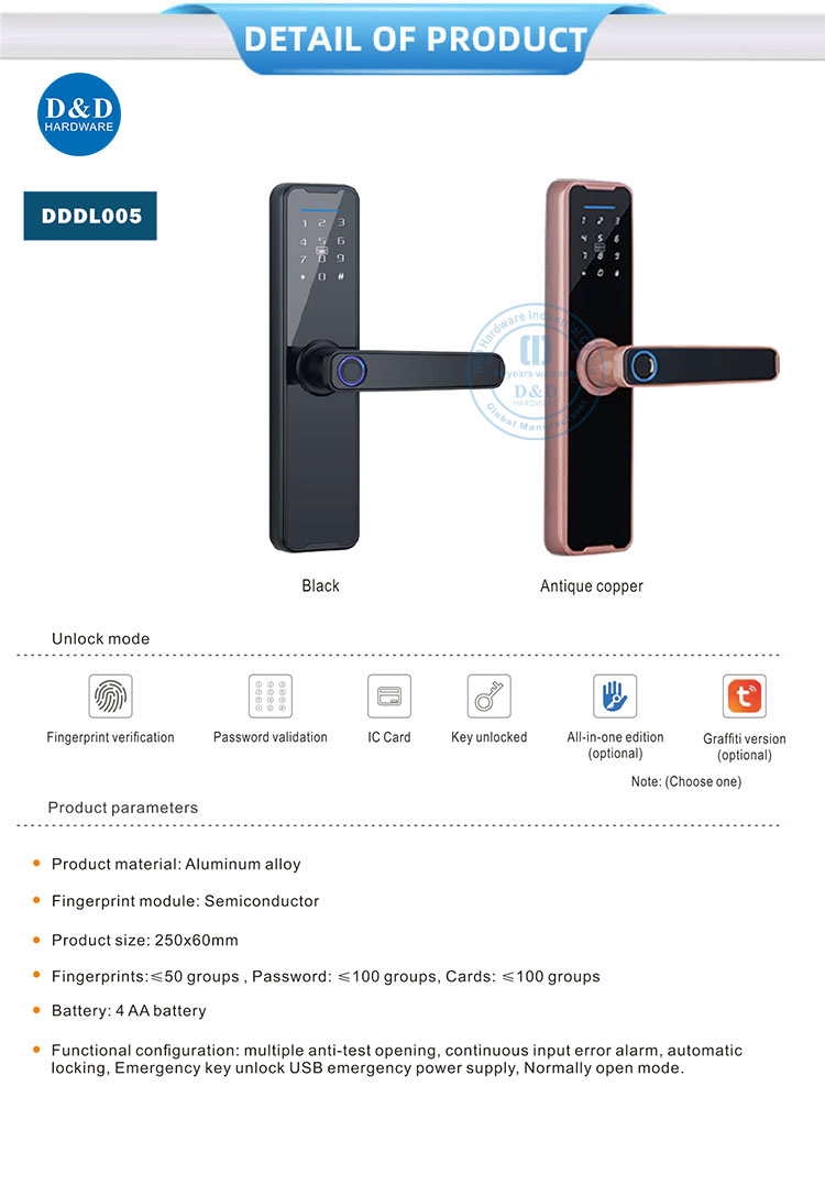 Electronic Door Lock