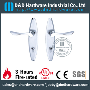 Stainless Steel 304 Solid Die-casting Handle with Plate for Wooden Door-DDLP002