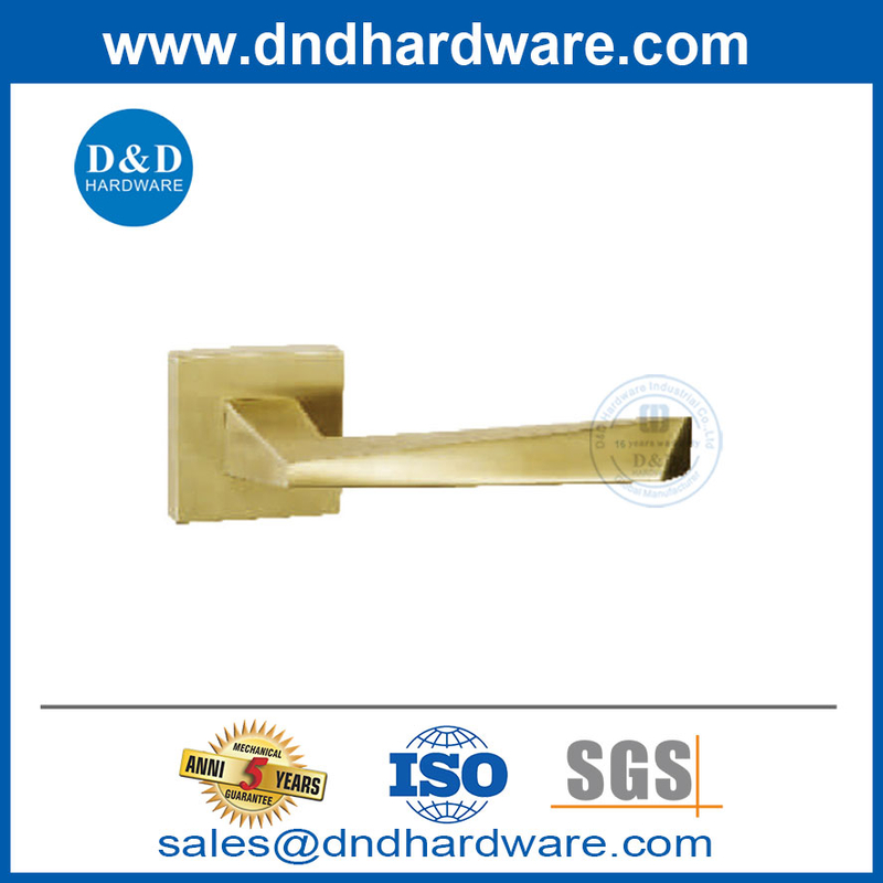 Wooden Door Stainless Steel 304 Modern Interior Gold Door Handle-DDSH056