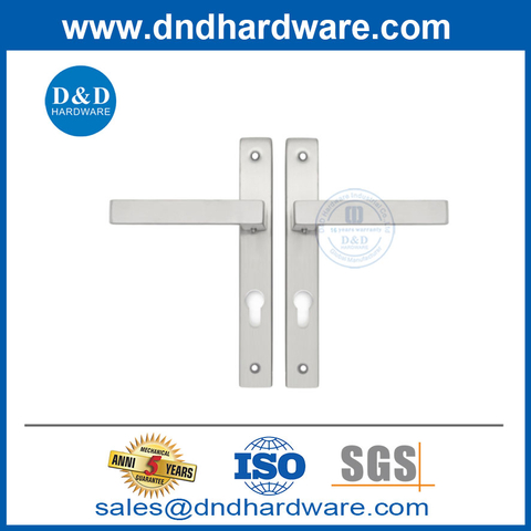 Stainless Steel Narrow Frame Narrow-Stile Backplate Door Lever Handle with Plate-DDNP002