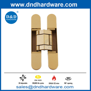 Hidden Door Hinge