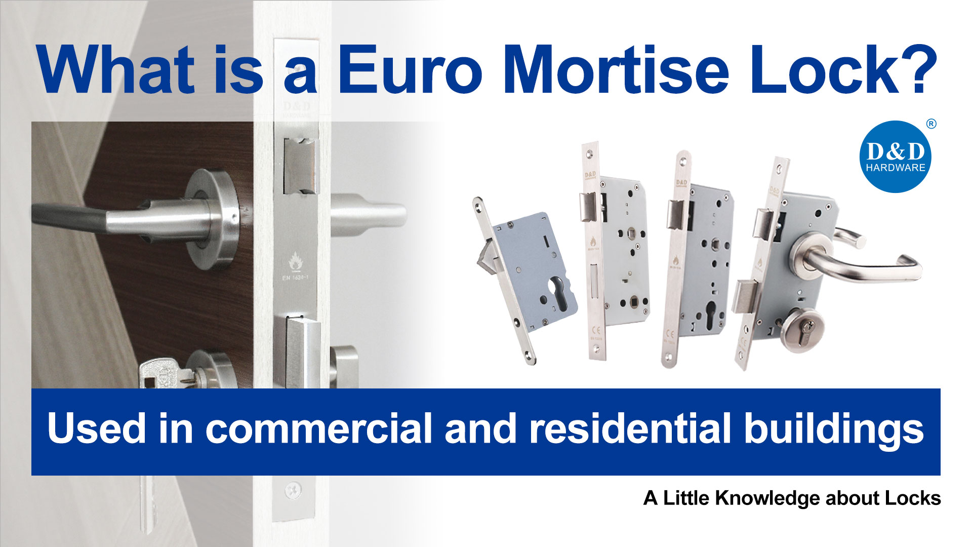 What-is-a-Euro-Mortise-Lock