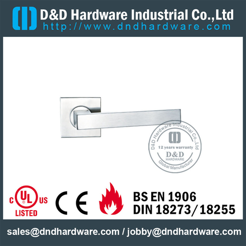 Stainless steel 304 Entry Designer Lever Handle on Rose for Wooden Doors -DDTH020 