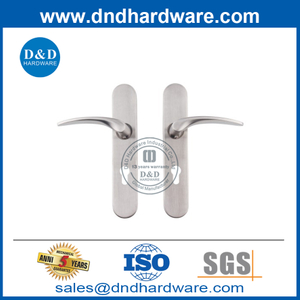 Stainless Steel Door Hardware Lever Door Handle with Backplate-DDTP006