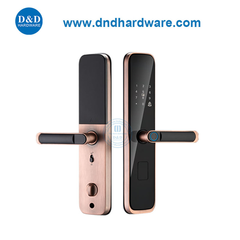 Antique Copper Keyless Fingerprint Smart Digital Door Locks for Apartment-DDDL004