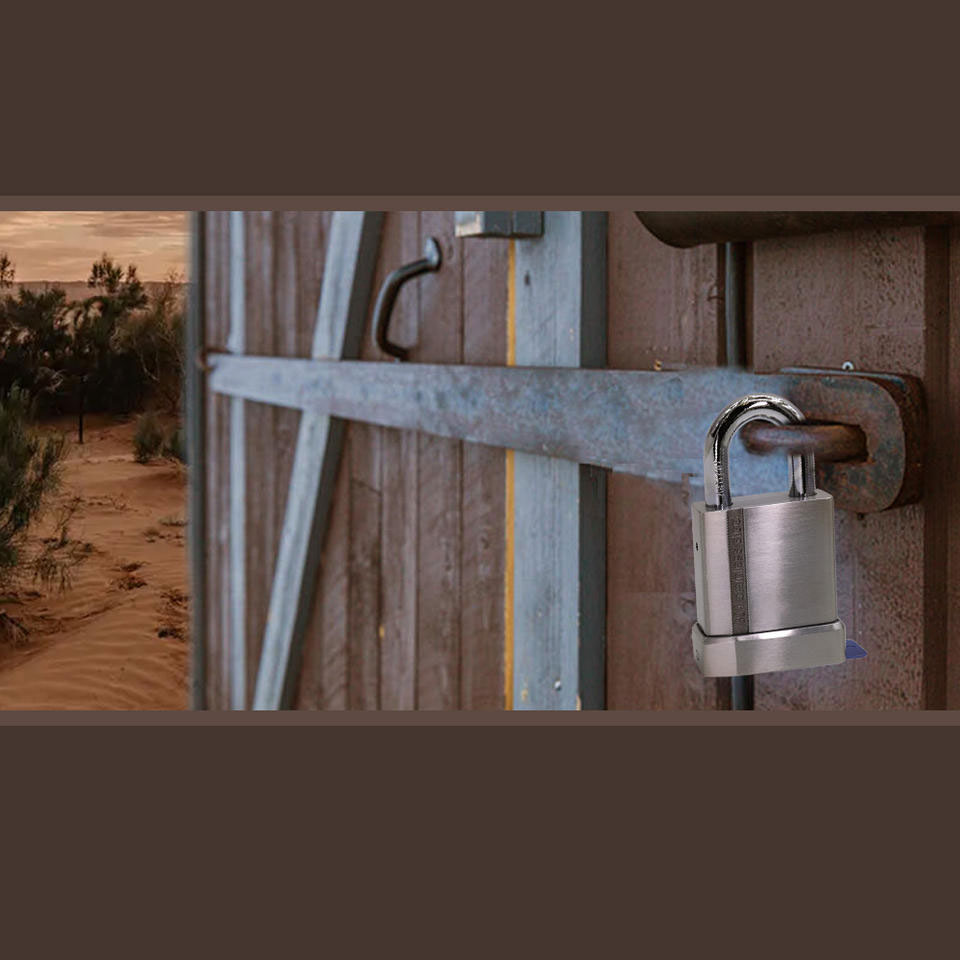 304 Stainless Steel Outdoor Waterproof Smart Pad Lock Wifi Padlock Security Padlocks-DDPL011