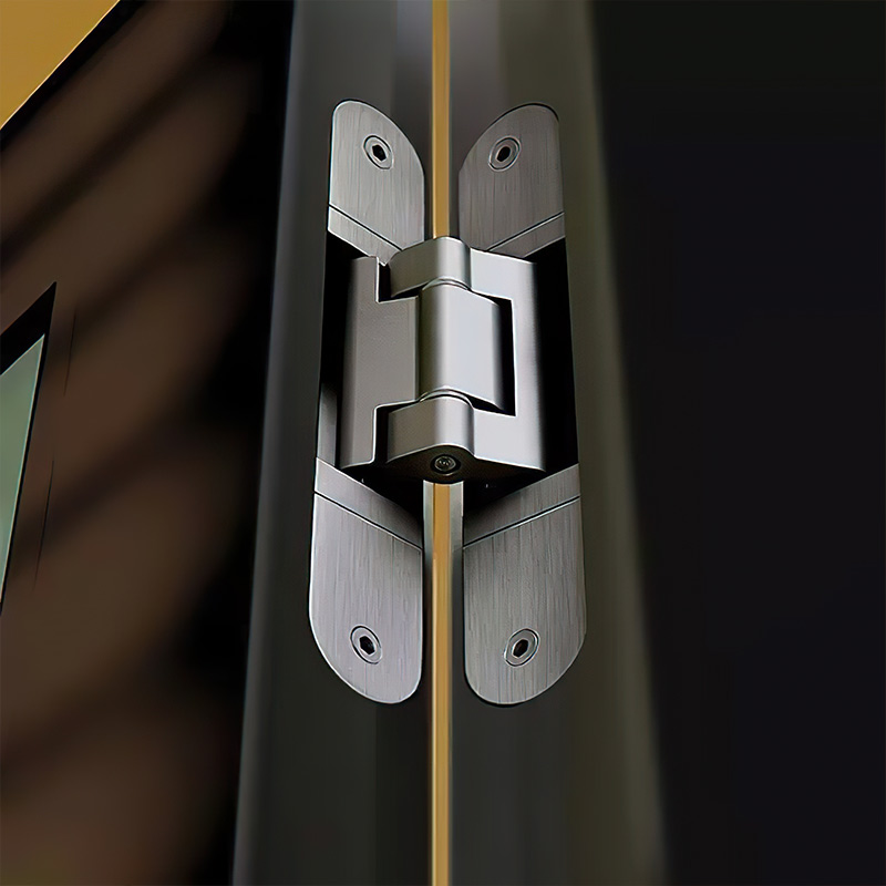 hidden door hinge china