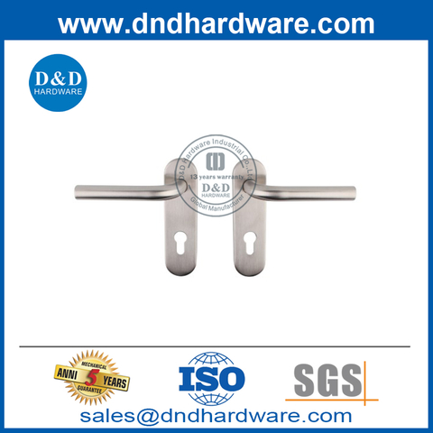 Stainless Steel Front Door Tube Lever Handle with Backplate-DDTP008