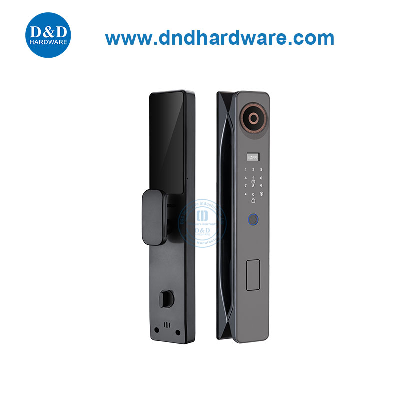 Home Apartment Smart Lock Door Password Unlock Electronic Lock-DDEL003