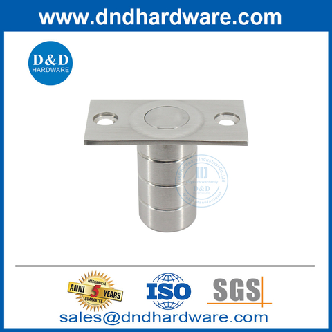 Dust proof strike with plate