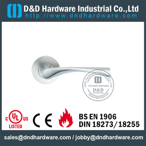 Investment Cast Solid Stainless Steel Lever Handle for External Doors -DDSH002
