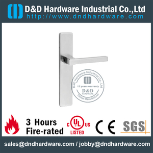 Stainless Steel 316 Solid Square Shape Lever Handle with Rectangular Plate for Fire-rated Door-DDTP005