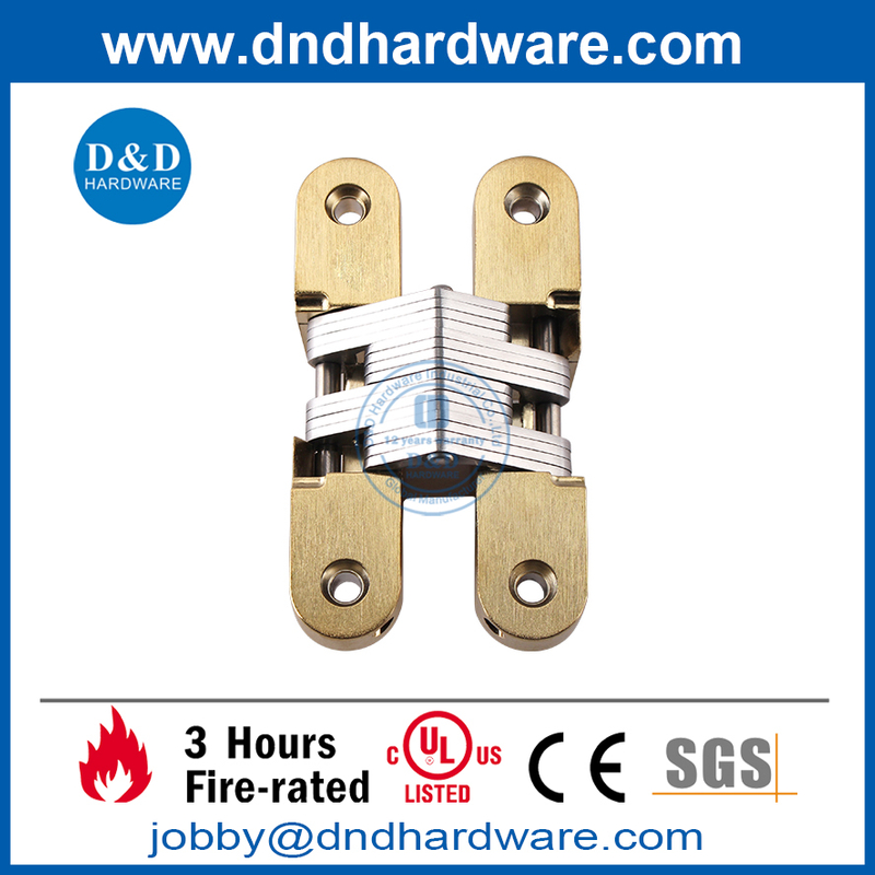 Zinc Alloy Polished Brass Stain Concealed Hinge for Heavy Door-DDCH007