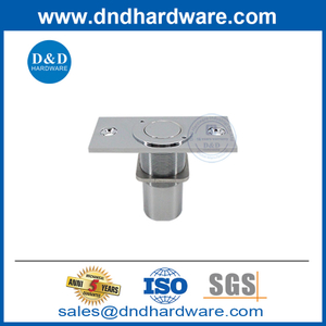 China Factory Stainless Steel Dust Proof Strike with Plate Use with Flush Bolt-DDDP005