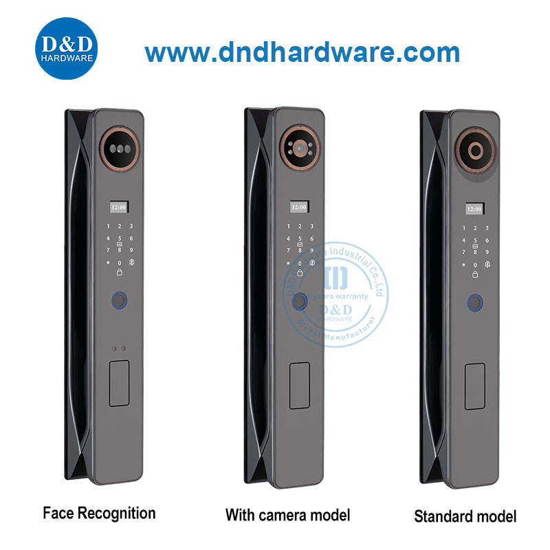 Home Apartment Smart Lock Door Password Unlock Electronic Lock-DDEL003