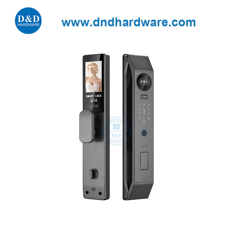 Digital Electronic Biometric Fingerprint Face Recognition Lock Smart Home Security-DDEL006