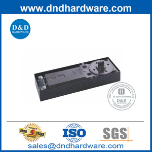 Modern Design Heavy Duty Steel Body Floor Spring for Glass Door-DDFS322