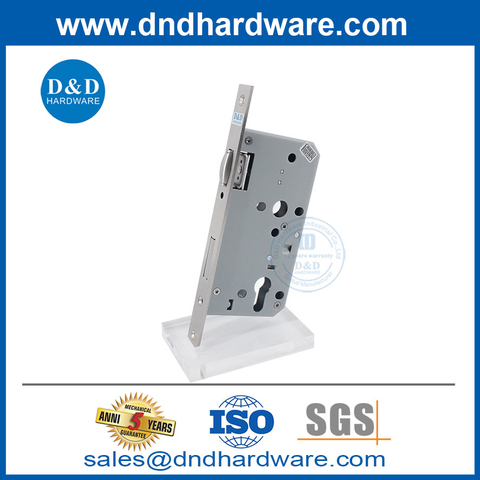 Factory Lock Hardware SUS304 European Style Roller Bolt Dead Lock-DDML010 