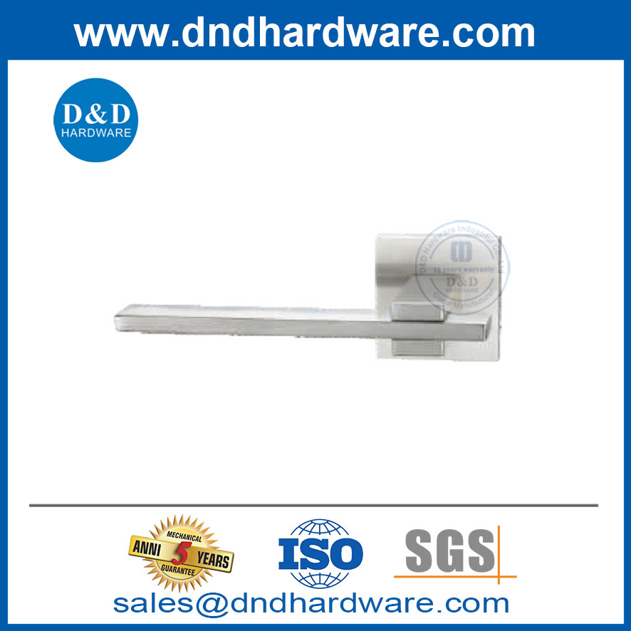 External Door Handles Stainless Steel Privacy Lever Door Handle-DDSH060
