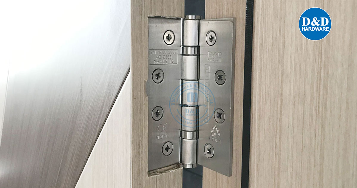 CE Door Hinge