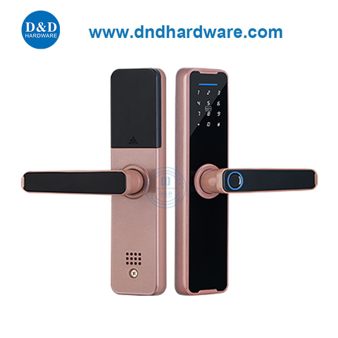 Electronic Keyless Door Lock Smart Fingerprint Digital Door Handle Lock-DDDL005