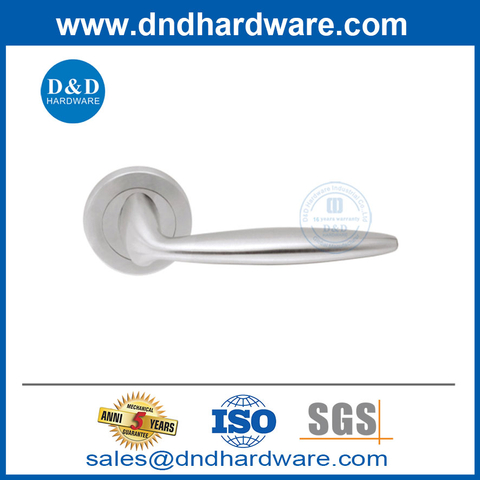 New Design Luxury Stainless Steel Unique Front Door Handles-DDSH041